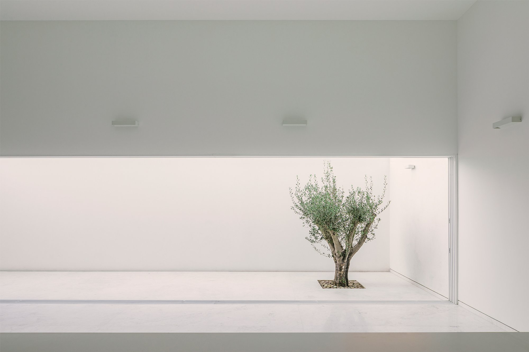 COTAPAREDES Arquitectos Carves a White Monolith into the Sloping Terrain of Zapopan