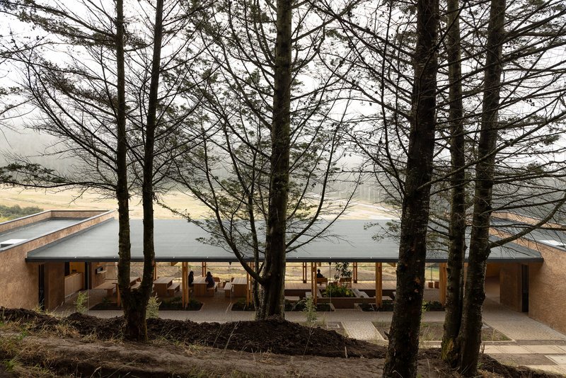 Single-story pavilion with flat roof viewed through bare winter trees in soft overcast light