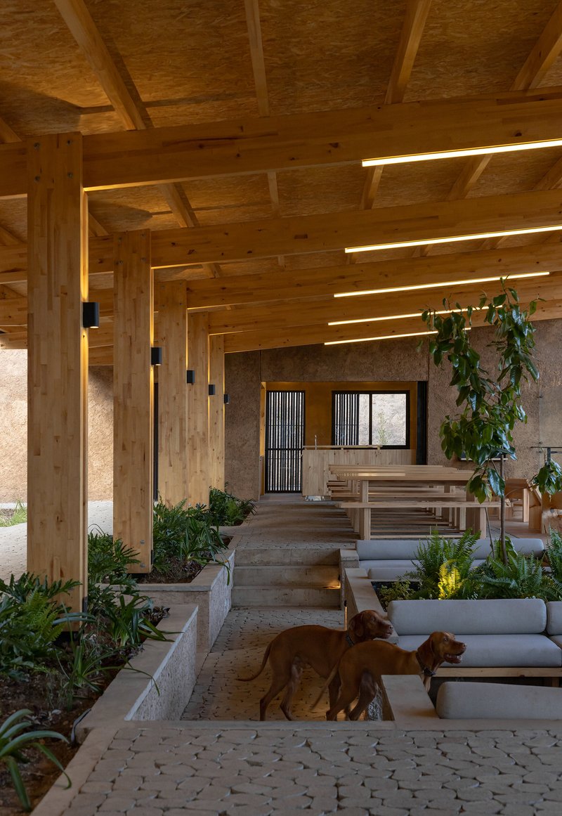 Interior courtyard with stepped planters, timber post-and-beam ceiling, and two dogs on paved floor
