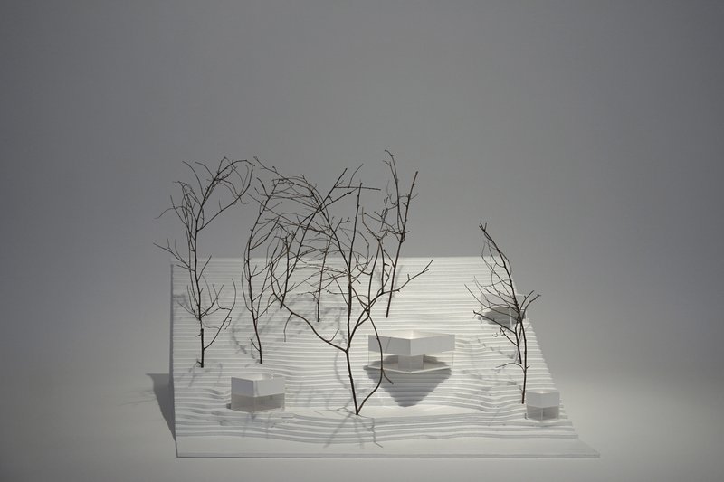 Physical model with layered white platforms and bare branch trees under diffused studio lighting
