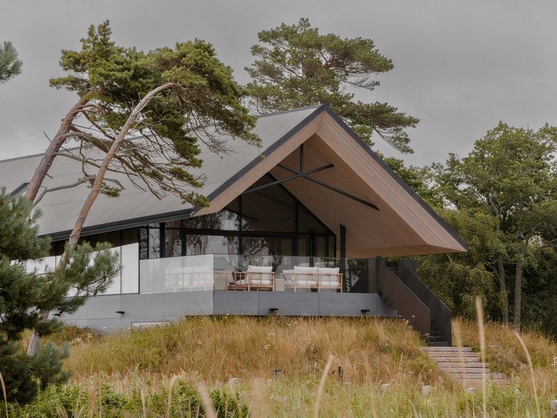 Pitched timber roof with exposed steel beams sheltering a terrace surrounded by pines