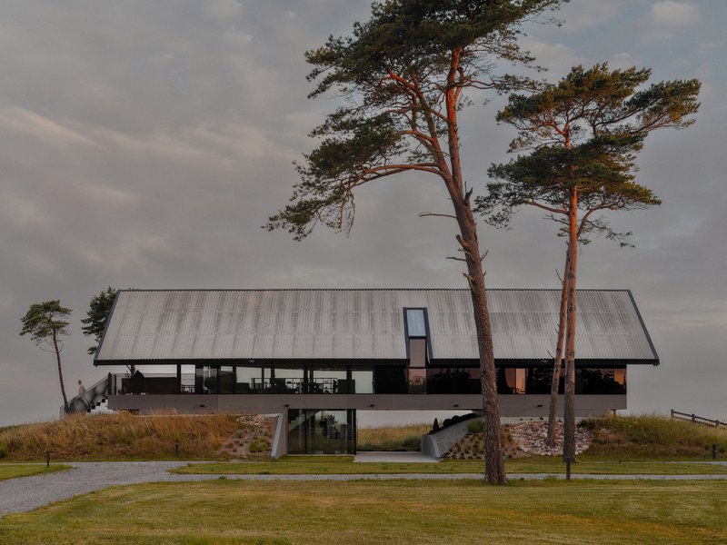 Elevated structure with corrugated metal roof and glass walls set between two pine trees under an overcast sky