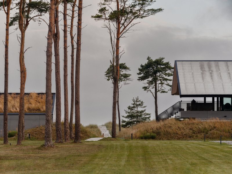 Gabled volume with corrugated metal roof rising above pine trees and dry grasses on an overcast day