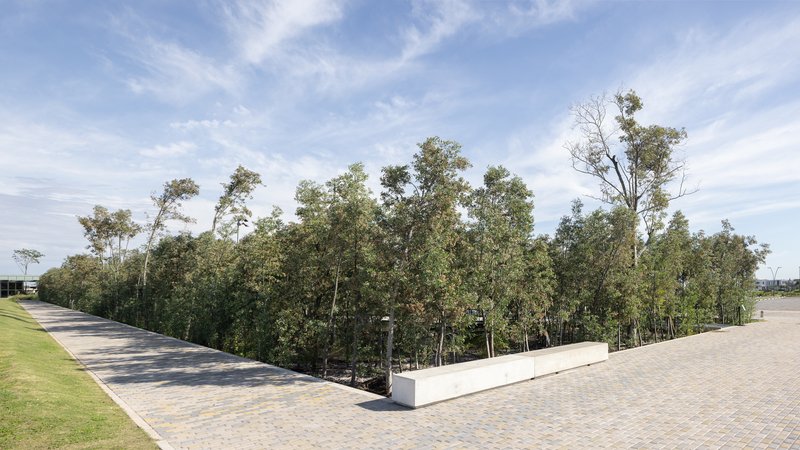 Edge of a paved plaza meeting a sunken wooded area with scattered trees and grass