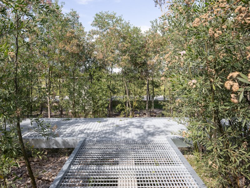 Metal grate platform extending into a woodland clearing with leaf litter and saplings