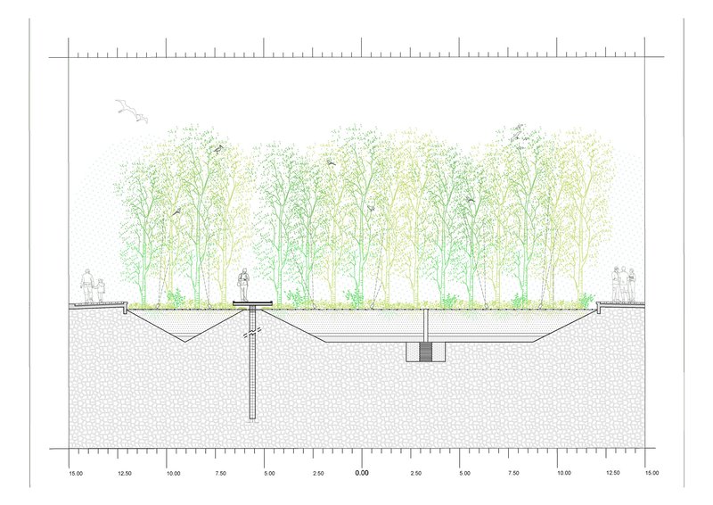 Section drawing showing planted deck over excavated chamber with central drainage and root systems