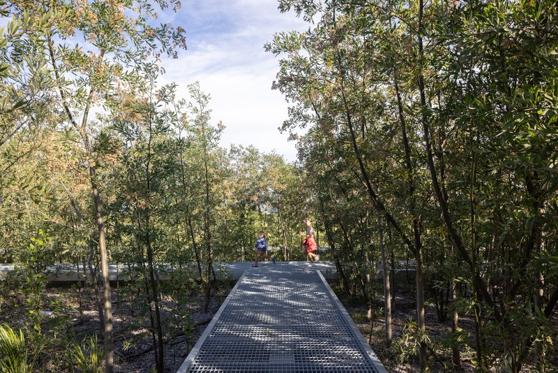 Perforated metal walkway threading through dense woodland with visitors in dappled sunlight