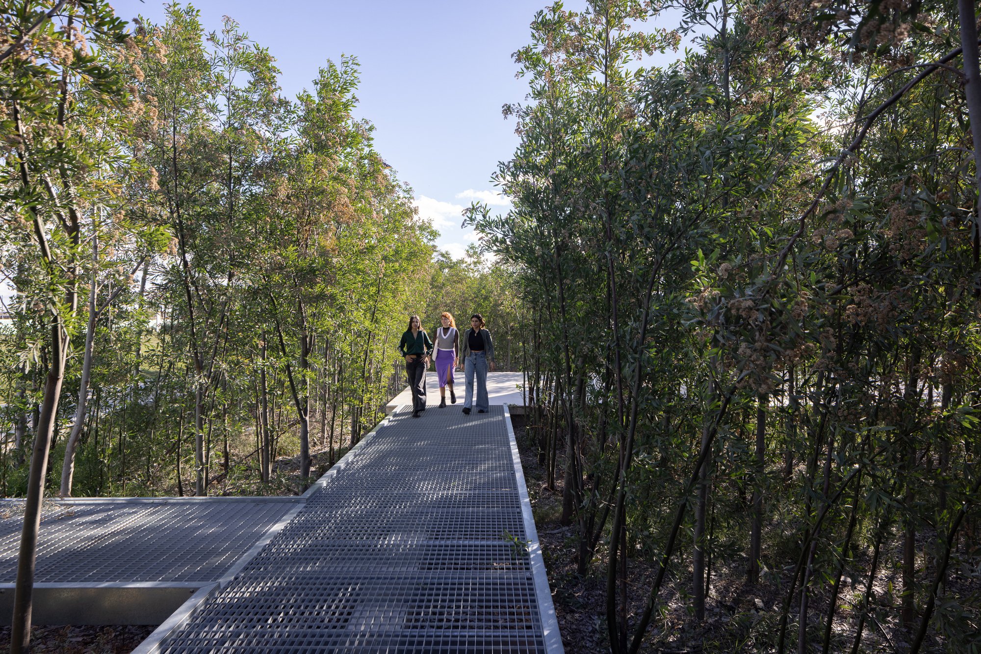 Estudio Bulla Invents a Forest of 2,500 River Alders for a Museum Campus Outside Buenos Aires