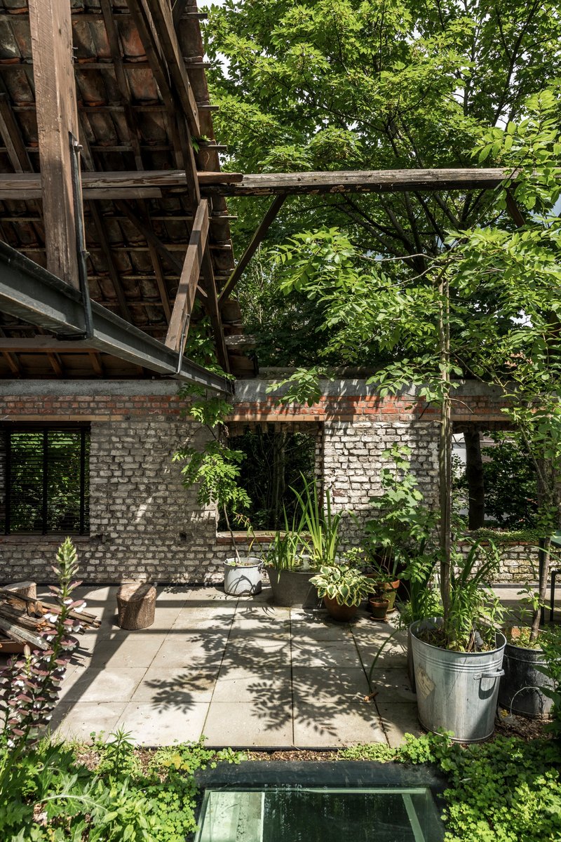 Courtyard terrace with planted pots and paving slabs beneath exposed timber roof structure and green canopy