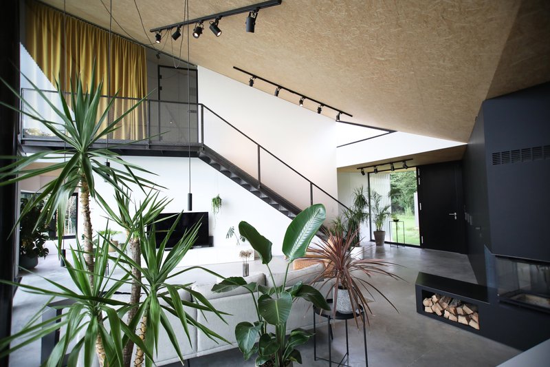 Double-height interior with metal staircase, track lighting, and potted tropical plants on polished concrete floor