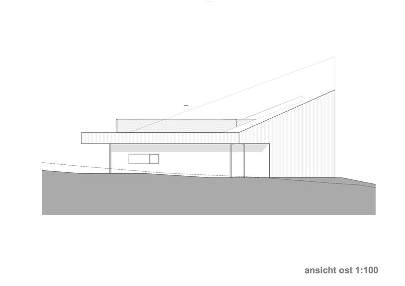 East elevation drawing depicting the flat and sloped roof forms with vertical cladding