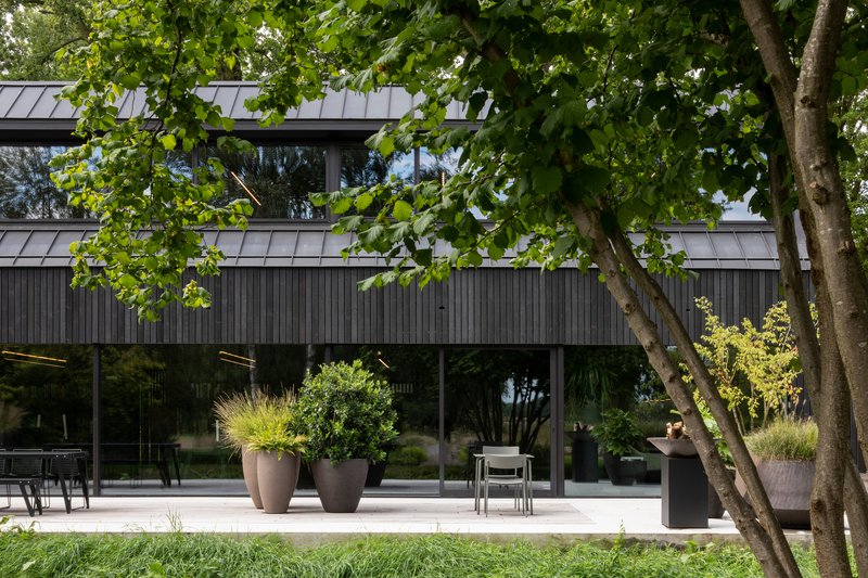 Glazed ground floor beneath vertical charred timber cladding with potted grasses and a multi-stemmed tree in foreground