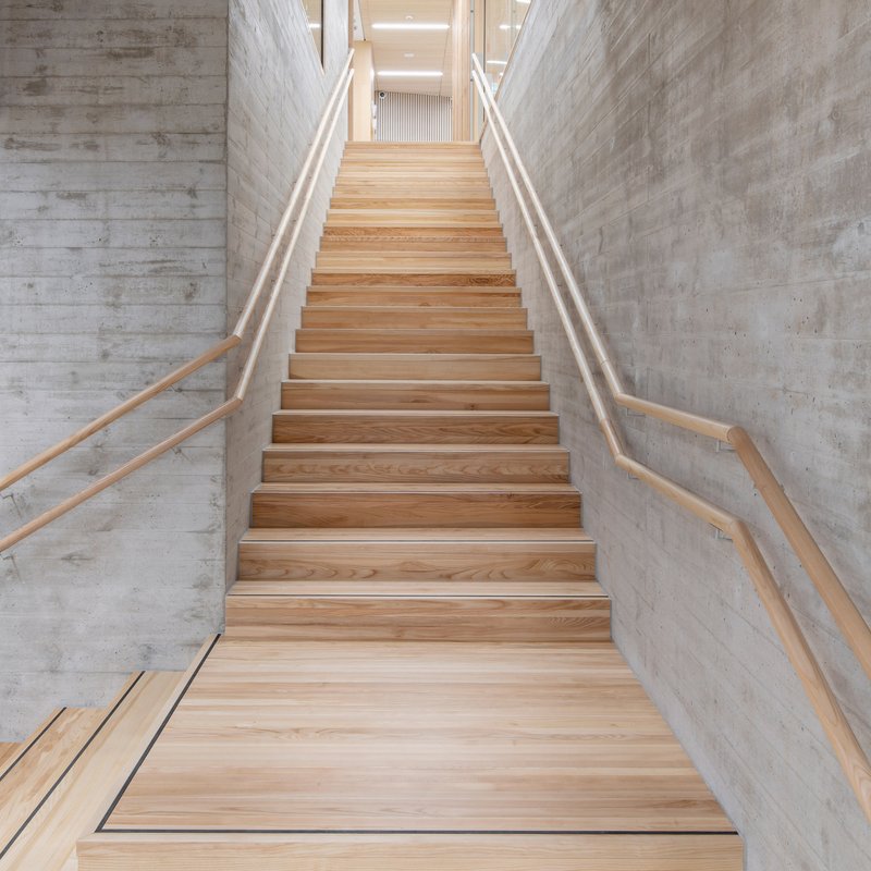 Timber staircase with wood handrails ascending between board-formed concrete walls under natural light