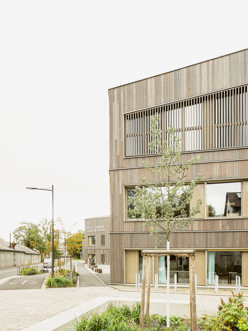 Corner facade showing vertical timber louvers shading the upper windows with a young tree in front