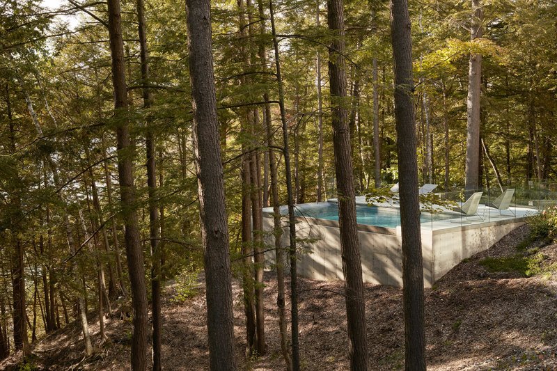 Elevated concrete pool terrace viewed through the vertical trunks of the surrounding forest