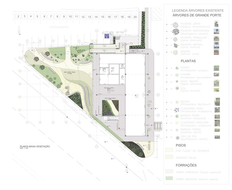 Ground floor landscape plan showing curving paths, planted areas, building footprint, and tree species legend