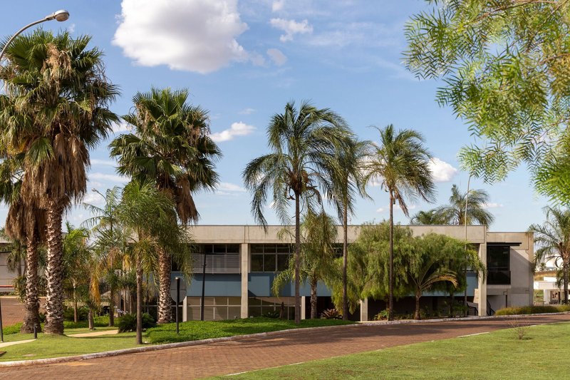 Horizontal two-story facade with ribbon windows set behind a row of palm trees under blue sky