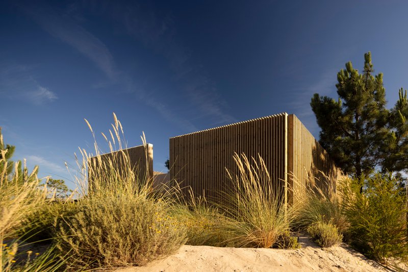 Timber-clad volume rising from sandy dune landscape with native grasses in golden afternoon light
