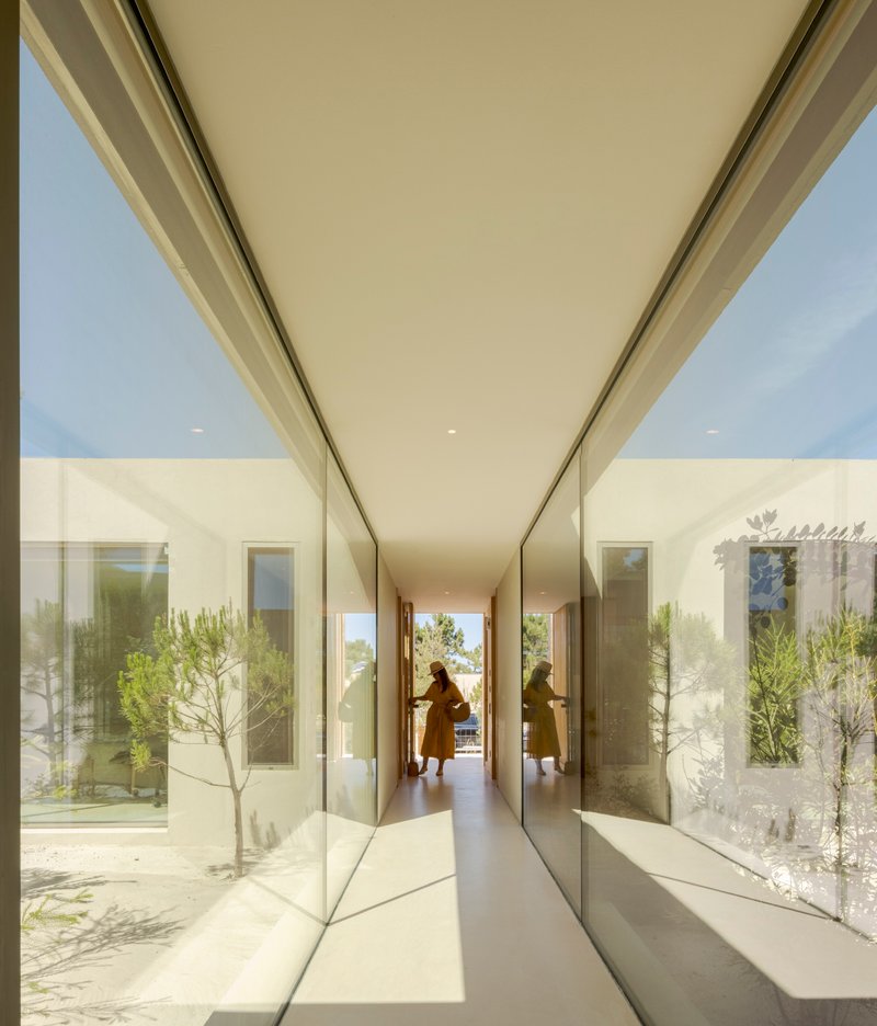 Glass-walled corridor with reflections of courtyard plantings and a figure walking in afternoon light