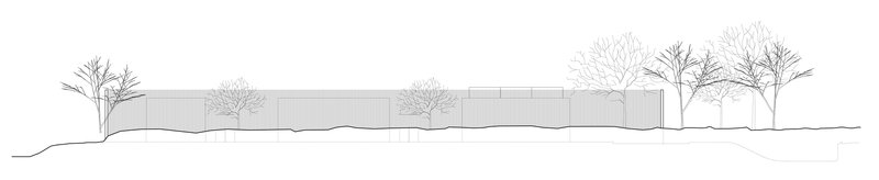 Elevation drawing of a long horizontal retaining wall with planted trees along undulating ground