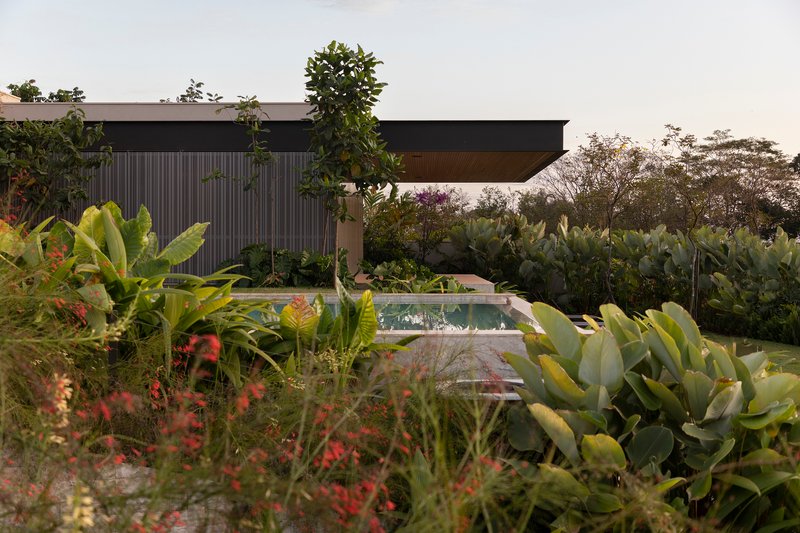 Pool deck surrounded by dense tropical plantings with the cantilevered volume and vertical cladding visible at dusk