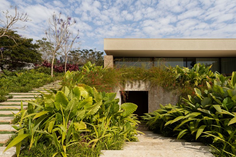 Entry stair descending through planted beds of tropical foliage toward a weathered concrete portal beneath the cantilevered upper level