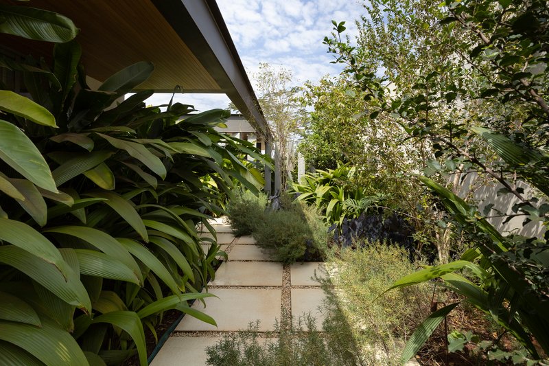 Covered walkway bordered by large-leafed plantings and ornamental grasses beneath an angled soffit and blue sky