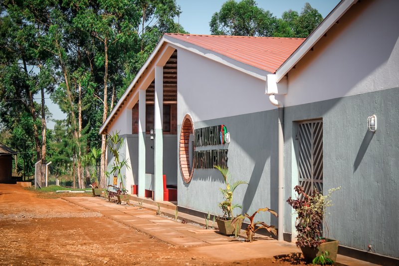 Exterior wall with two-tone render, circular brick medallion and potted plants along the earthen walkway