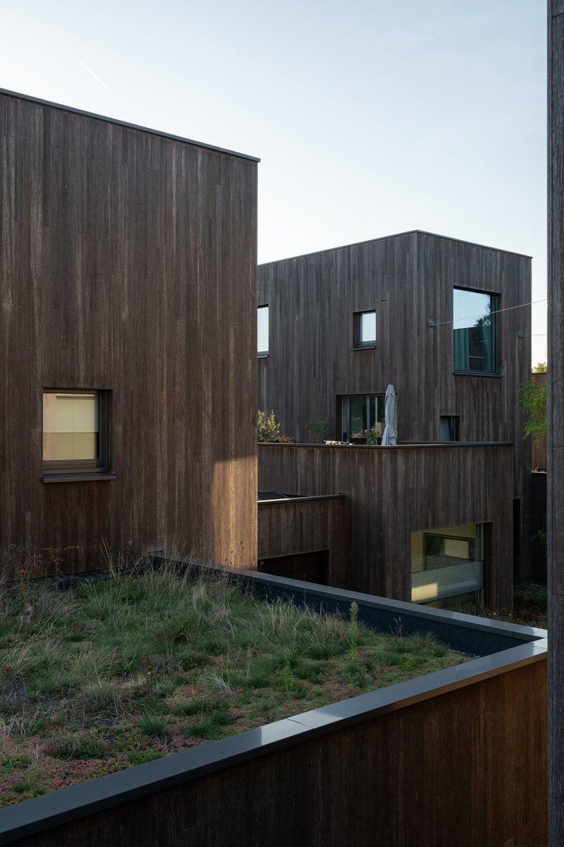 Courtyard view of staggered timber-clad volumes with planted green roof at dusk
