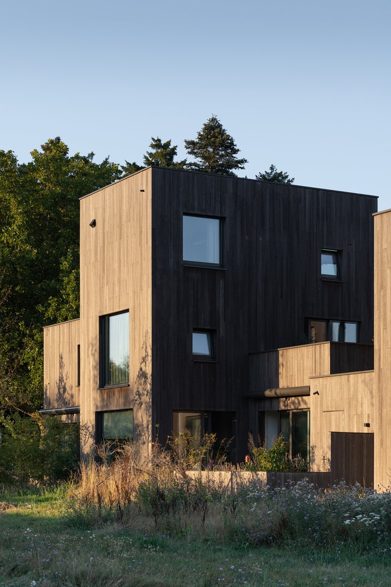 Cluster of timber-clad volumes with contrasting dark and light wood facades amid tall trees and wild grasses