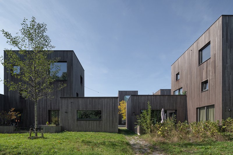 Shared courtyard with mown grass and dirt path between timber-clad housing volumes under a clear sky
