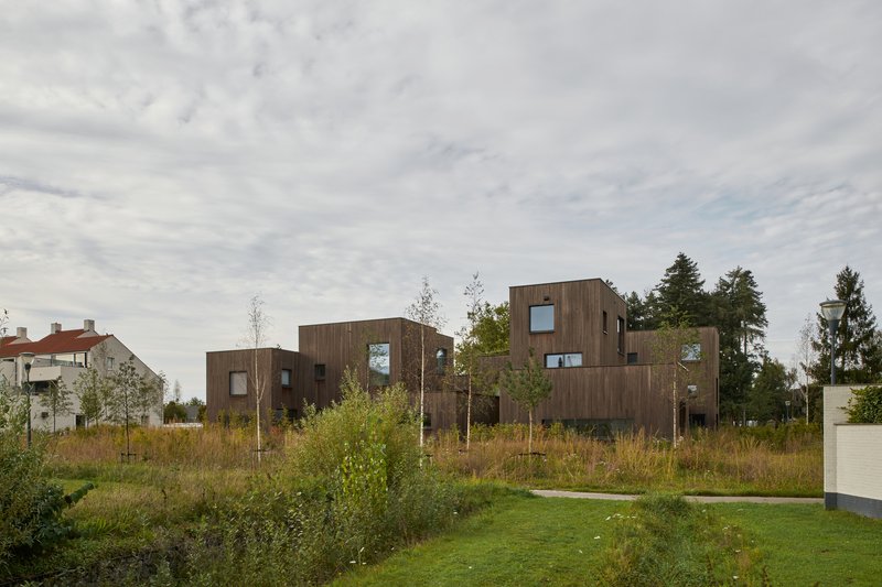 Clustered timber-clad volumes set among wildflower grasses and young birch trees under overcast skies