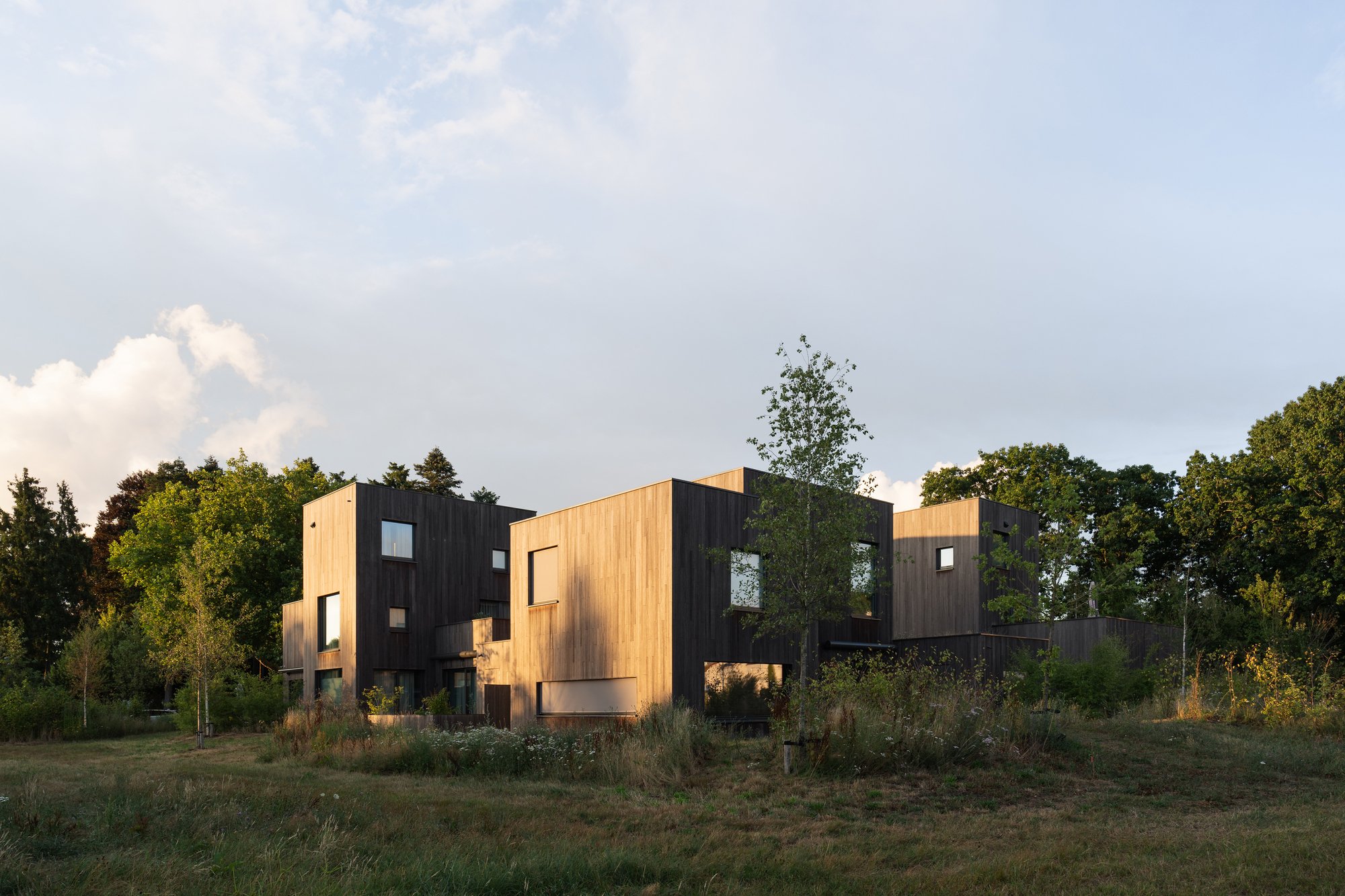 Bosrijk Houses: Timber Sculptures in Eindhoven
