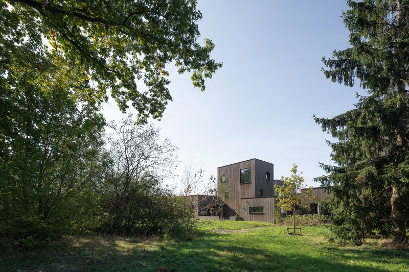 Timber dwelling viewed from a lawn beneath mature deciduous and evergreen tree canopy