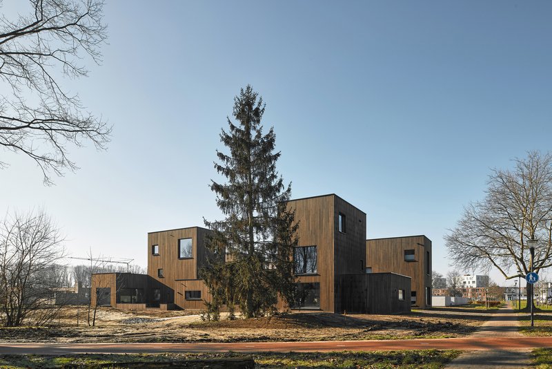 Cluster of timber-clad volumes arranged around a tall conifer in a winter landscape