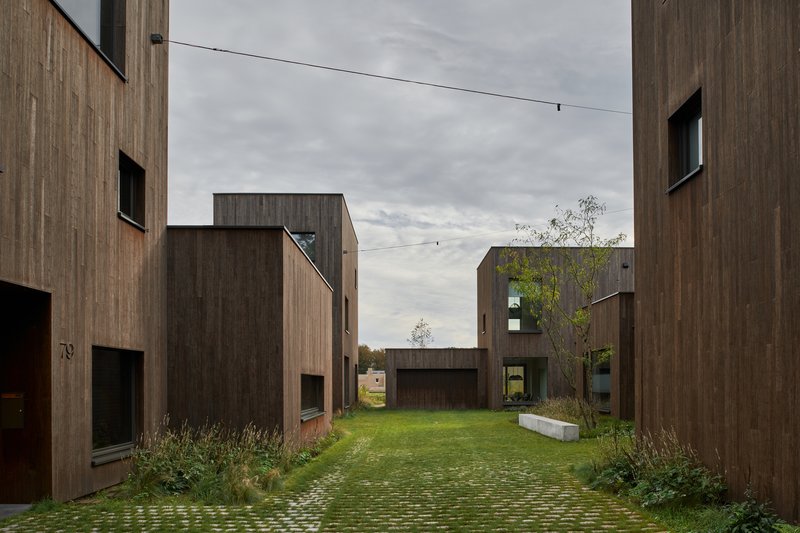 View through the courtyard showing grouped timber volumes with punched windows and planted grasses