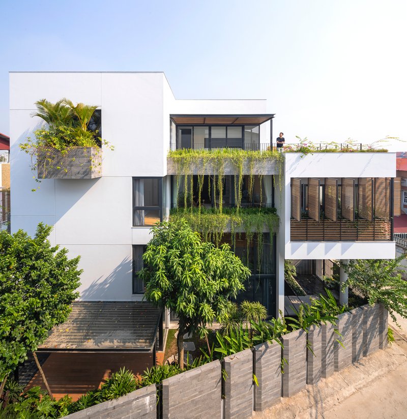 Street view of white stucco volumes with cascading planted terraces and vertical greenery under afternoon sunlight