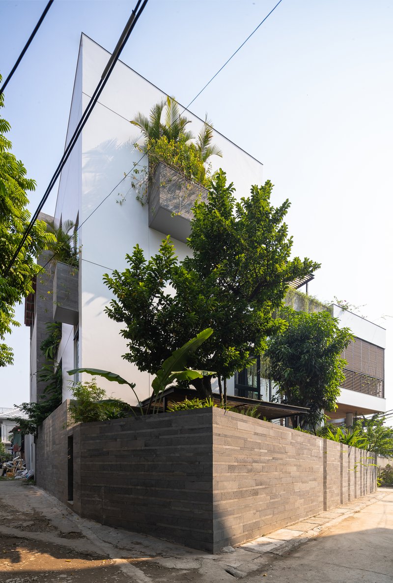 Corner street view showing the raised planter box with mature trees emerging above horizontal timber cladding