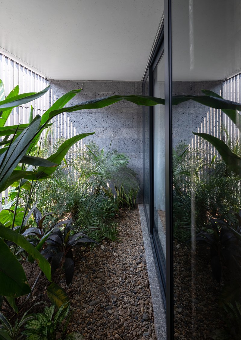 Narrow planted courtyard with concrete walls, corrugated screening and tropical foliage beneath an overhanging soffit