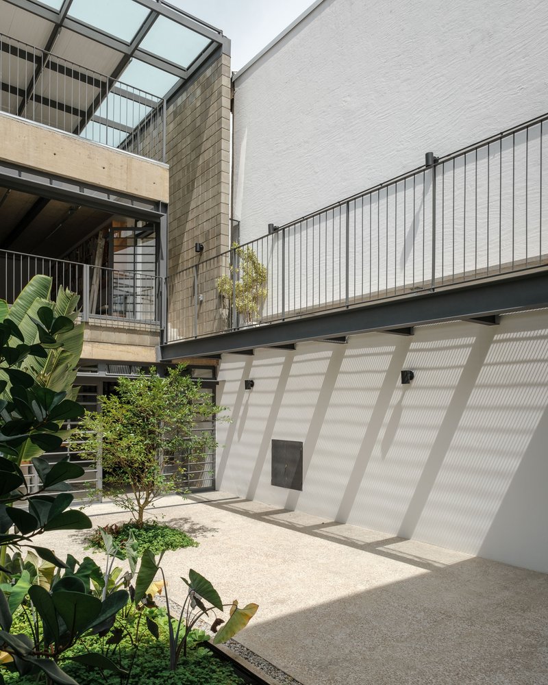 Internal courtyard with planted bed of tropical foliage and ribbed metal cladding casting diagonal shadows