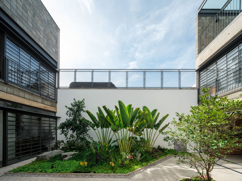 Planted courtyard with banana palms and traveler's palms beneath a pedestrian bridge linking upper floors