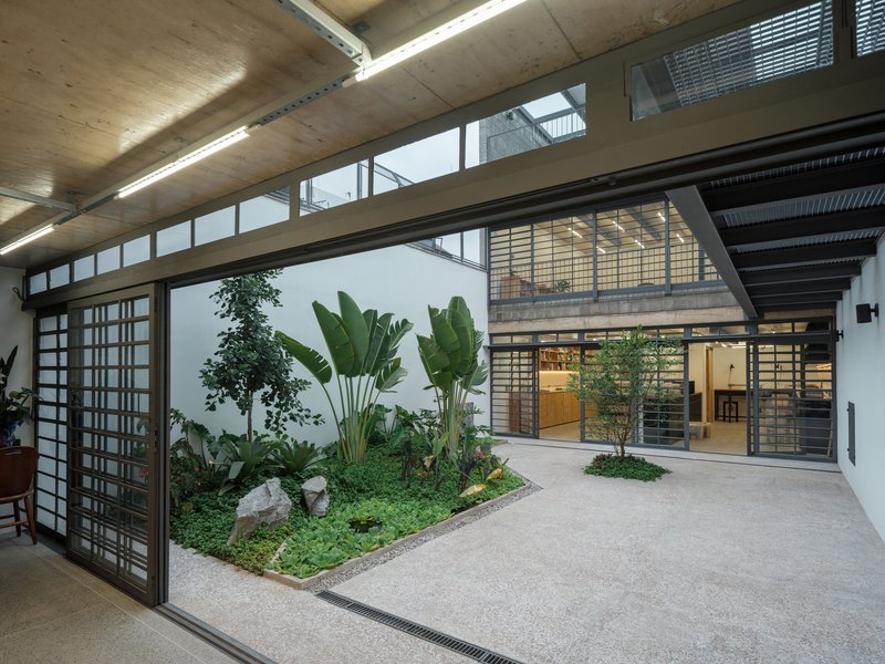 Interior courtyard planted with banana palms, groundcover, and small trees beneath a plywood soffit