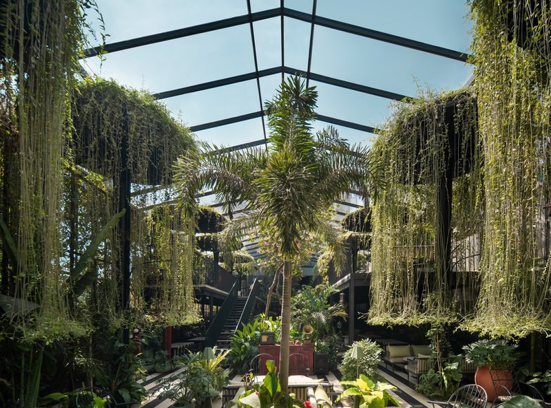 Steel frame pergola with cascading vine curtains and palms surrounding a central staircase in daylight
