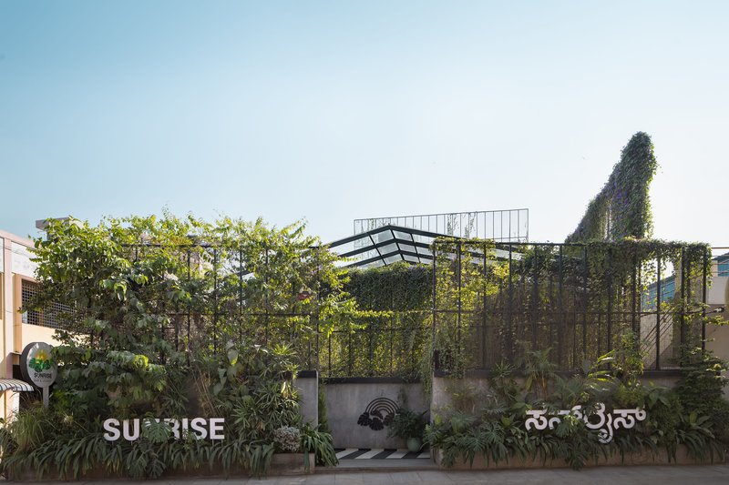 Street facade with concrete base wall, layered steel mesh trellis overhead, and dense climbing vegetation