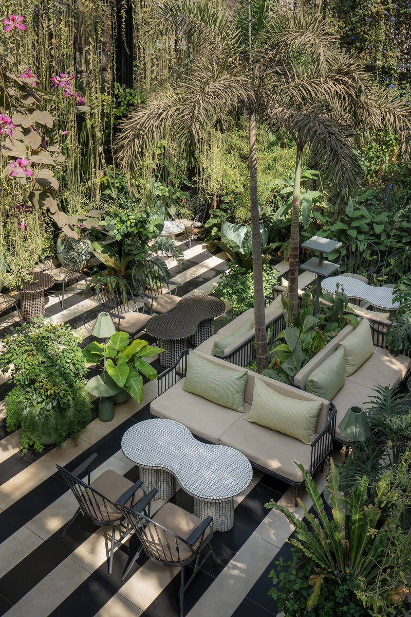 Overhead view of outdoor terrace with striped paving, wicker seating and dense tropical planting including palms and ferns