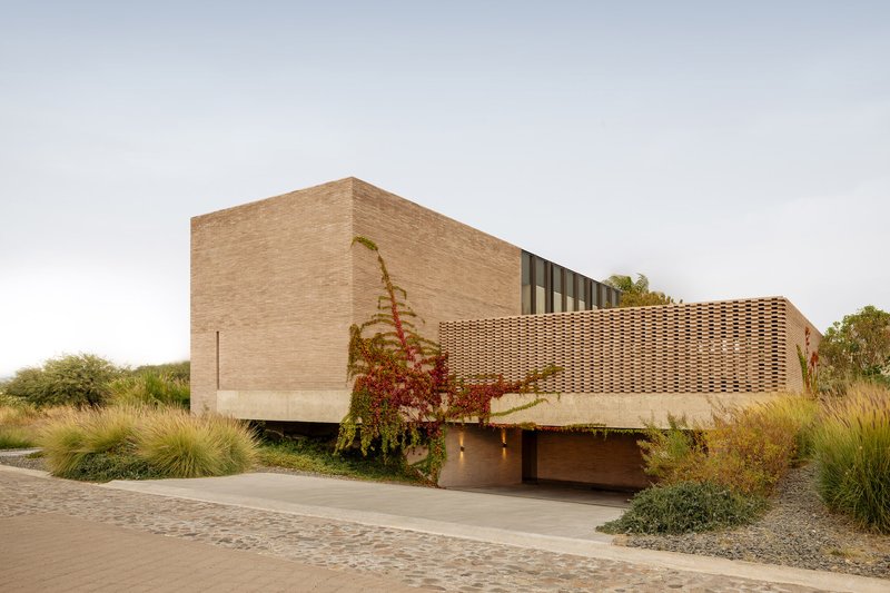 Street view of horizontally striped brick volume and timber slat screen with climbing vines and native grasses