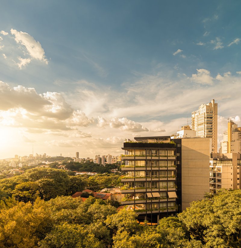Multilevel residential tower rising above dense green treetops at golden hour