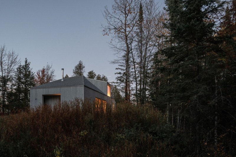 Grey corrugated metal clad volume nestled among bare deciduous and evergreen trees at dusk