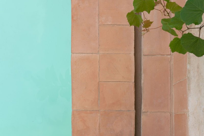 Detail of terracotta paving meeting turquoise pool edge with vine leaves overhead
