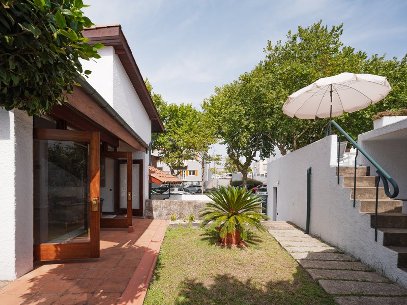Courtyard with stone paver pathway leading past palm plantings and a white umbrella